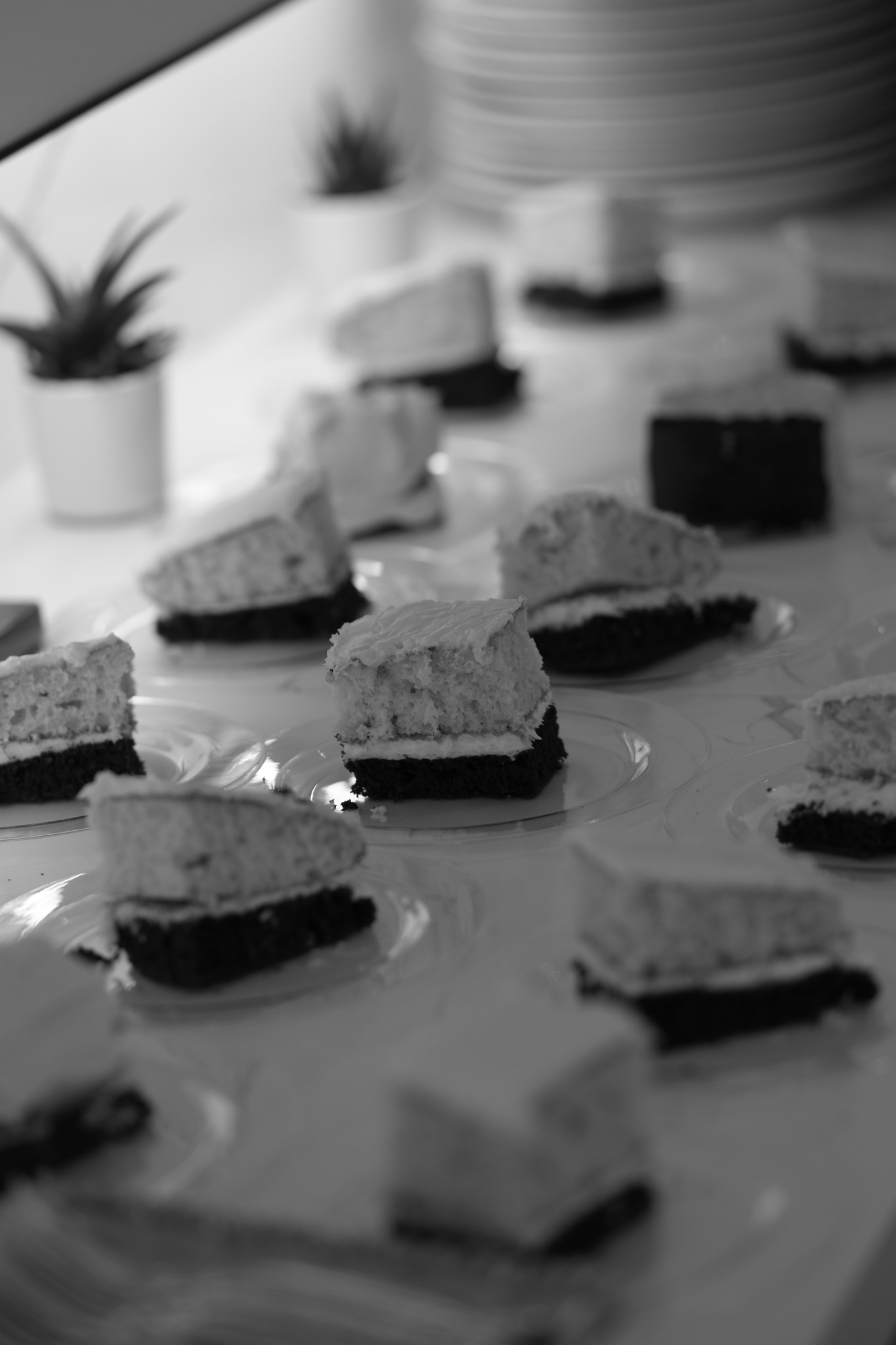 Slices of layered cake arranged on individual plates, photographed in black and white