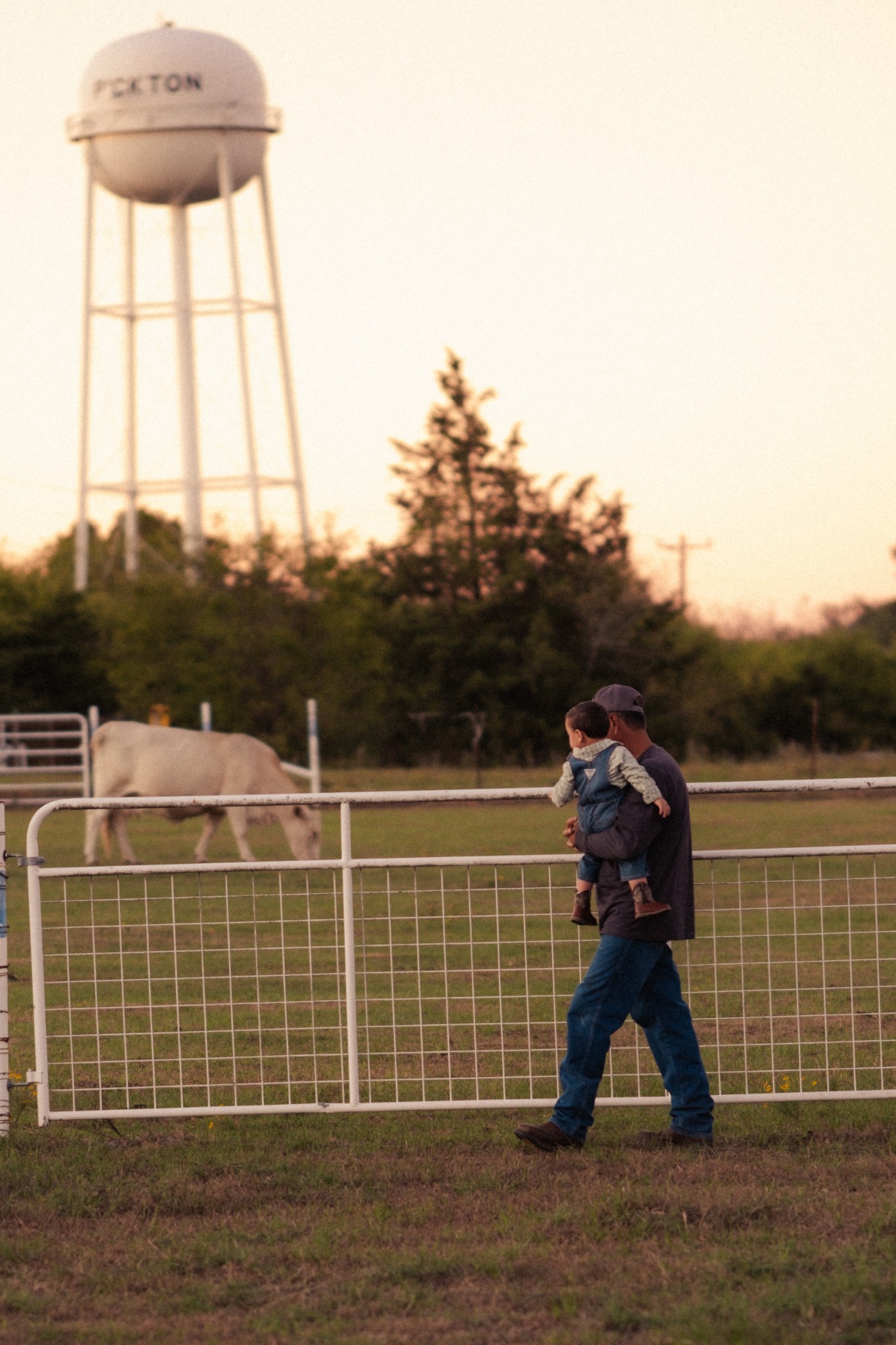 An adult carrying a child beside a pasture fence and a grazing horse in warm evening light