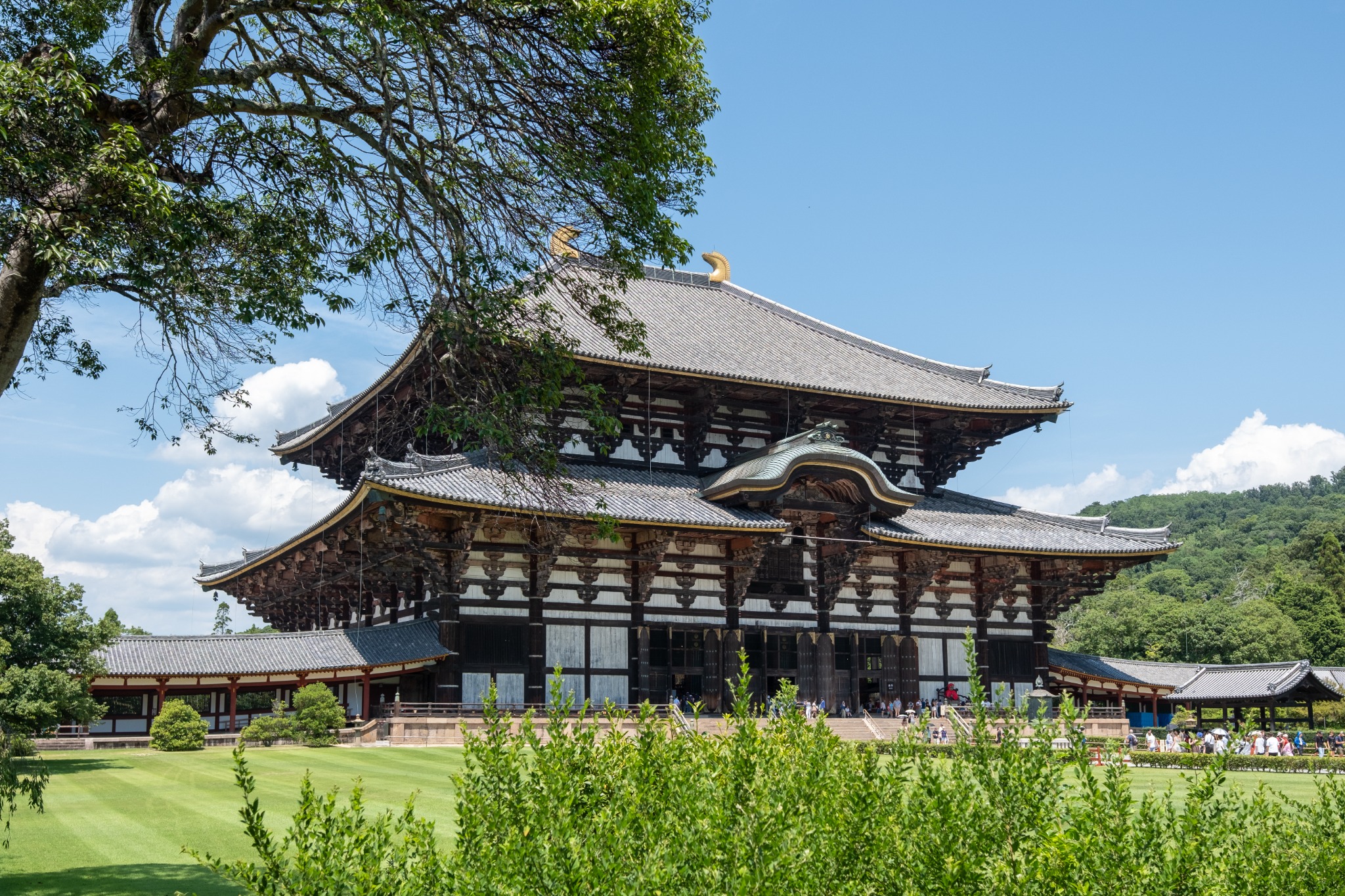 A large wooden temple with sweeping tiled roofs framed by trees beneath a blue sky